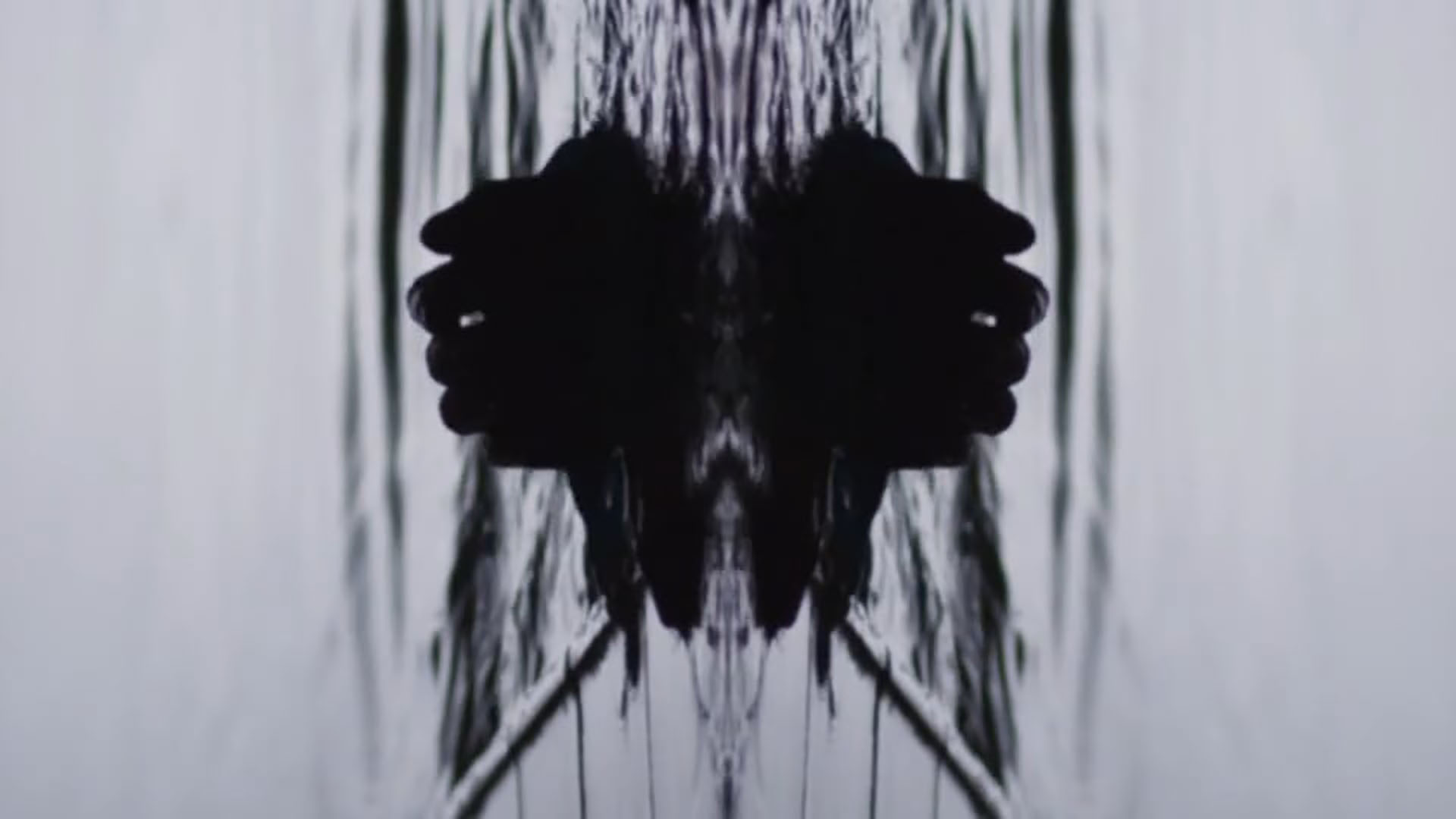 Arca - Fish - Cat and Weasel Films